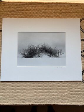Black and White Dune Grass Photography Print in White Mat